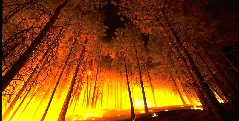 photo of wildfire