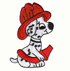 image of dalmation