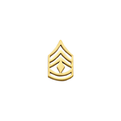 E526A Rank Insignia