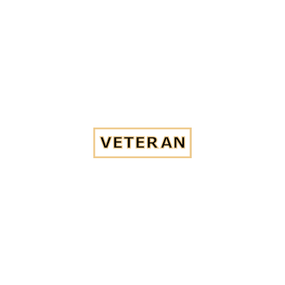 Smith & Warren Commendation Bar Model SAB3_164 VETERAN