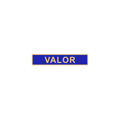 C584VALOR