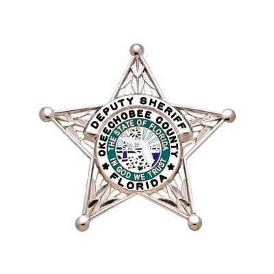 Florida Deputy Sheriff Star Badge in Green