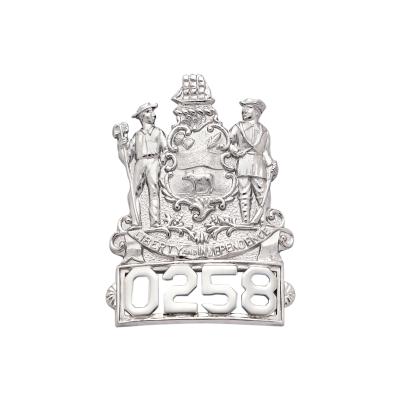 Delaware State Crest Hat Badge