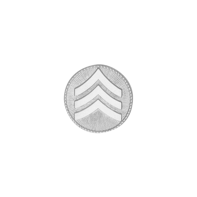 Sergeant Chevrons Disc