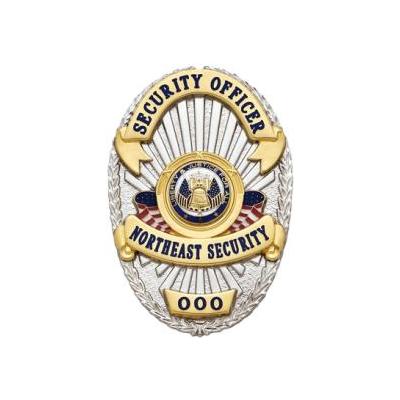 S571 Custom Badge