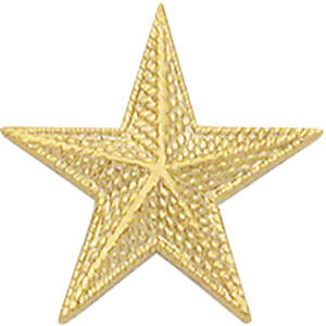 Smith & Warren Textured Single Star Collar Insignia