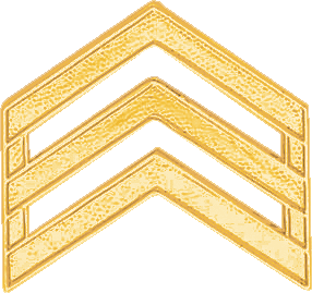 C705 - Sergeant Chevrons - Gold