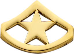 E525D Rank Insignia with one Chevron and 1 Diamond