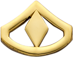 E526D Rank Insignia