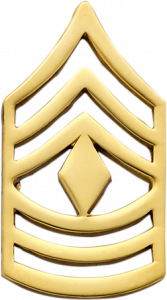 E526 Rank Insignia