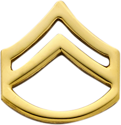 E528A Rank Insignia With Rocker