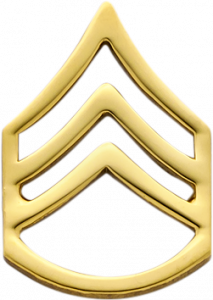 Rank Insignia - Gold Model E528