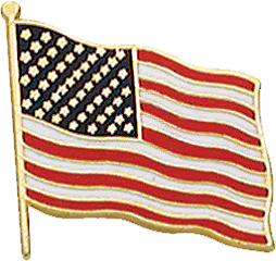 C524 American Flag Pin