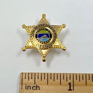 TN Constable Pin