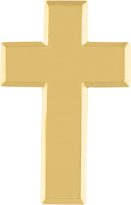 C153P