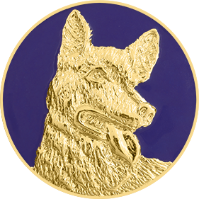 C631_K9E