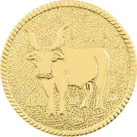 Suffolk County New York